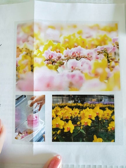 アンナララティ美容液/椎名洋ラン園/美容液を使ったクチコミ(8枚目)