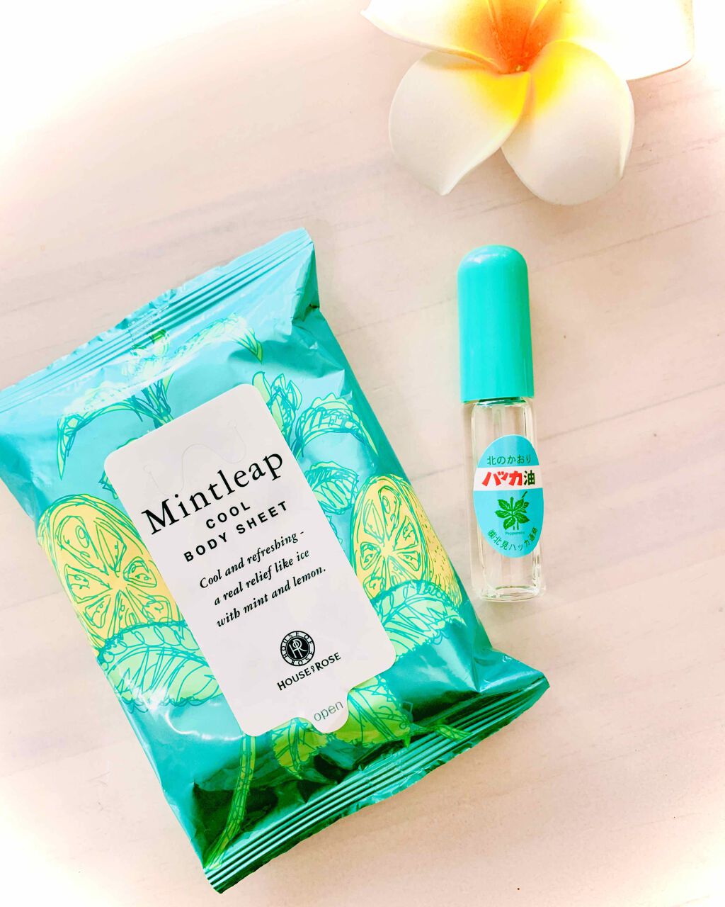 ハッカ油 スプレー/北見ハッカ通商/その他を使ったクチコミ（1枚目）