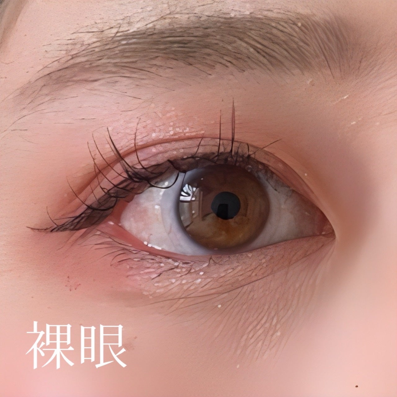 ペガビジョン 1day モイスト/CRUUM/ワンデー(1DAY)カラコンを使ったクチコミ(6枚目)