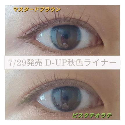 シルキーリキッドアイライナーWP/D-UP/リキッドアイライナーを使ったクチコミ(1枚目)