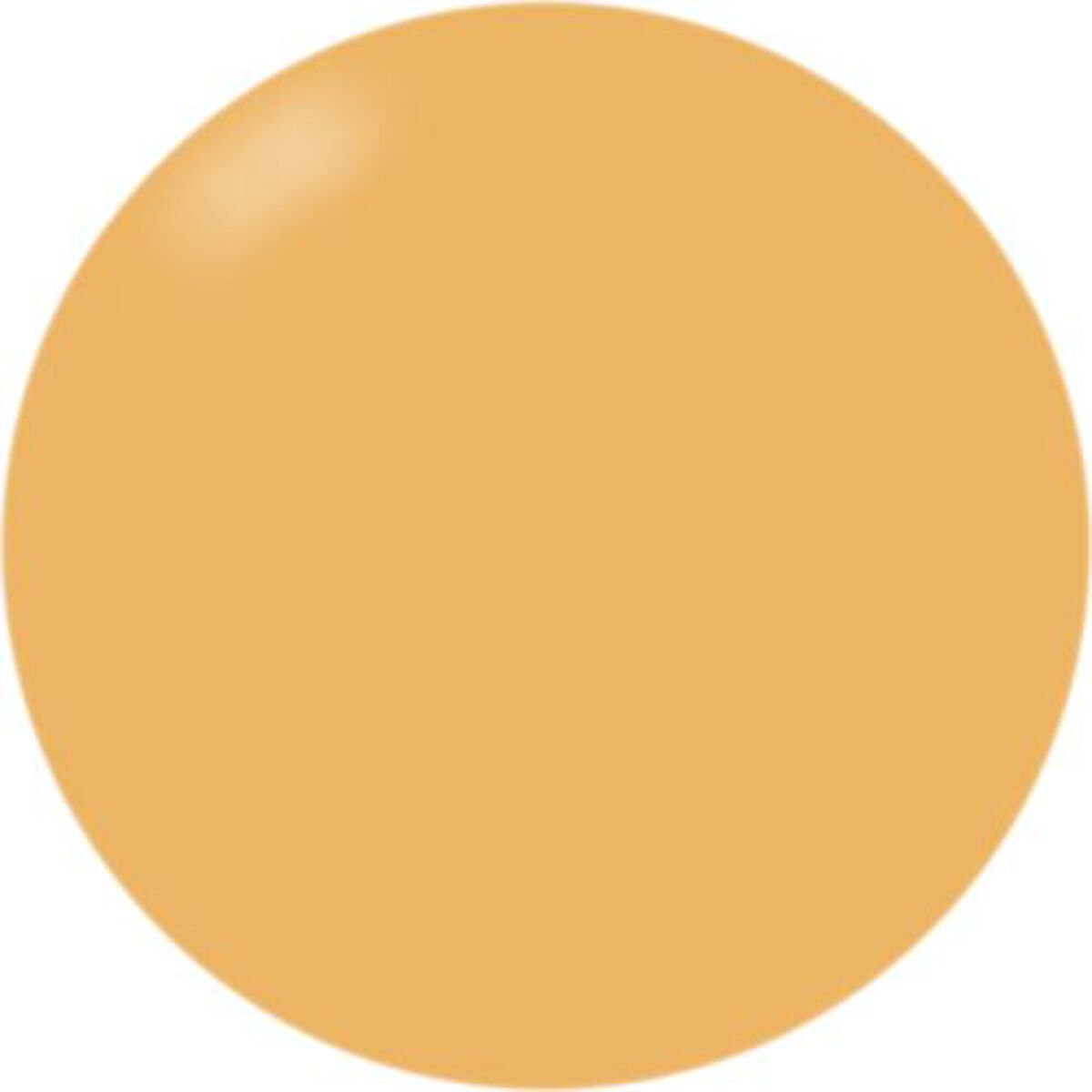 ブラッシュオンカラージェル 149