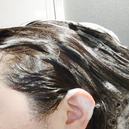 ネイチャーディープ ツヤ髪シャンプー/トリートメント/ネイチャーディープ /サロンシャンプーを使ったクチコミ(5枚目)