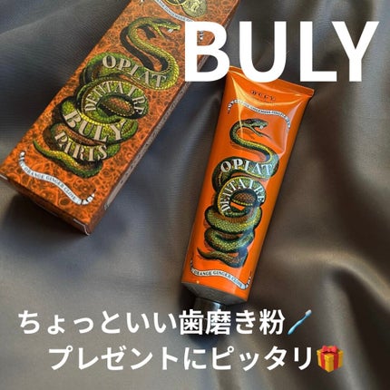 オピ・ダンテール ポム・ドゥ・モントバン/オフィシーヌ・ユニヴェルセル・ビュリー/歯磨き粉を使ったクチコミ(1枚目)