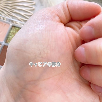 キャビアモイストタッチアイカラー /VOW/アイシャドウパレットを使ったクチコミ(5枚目)