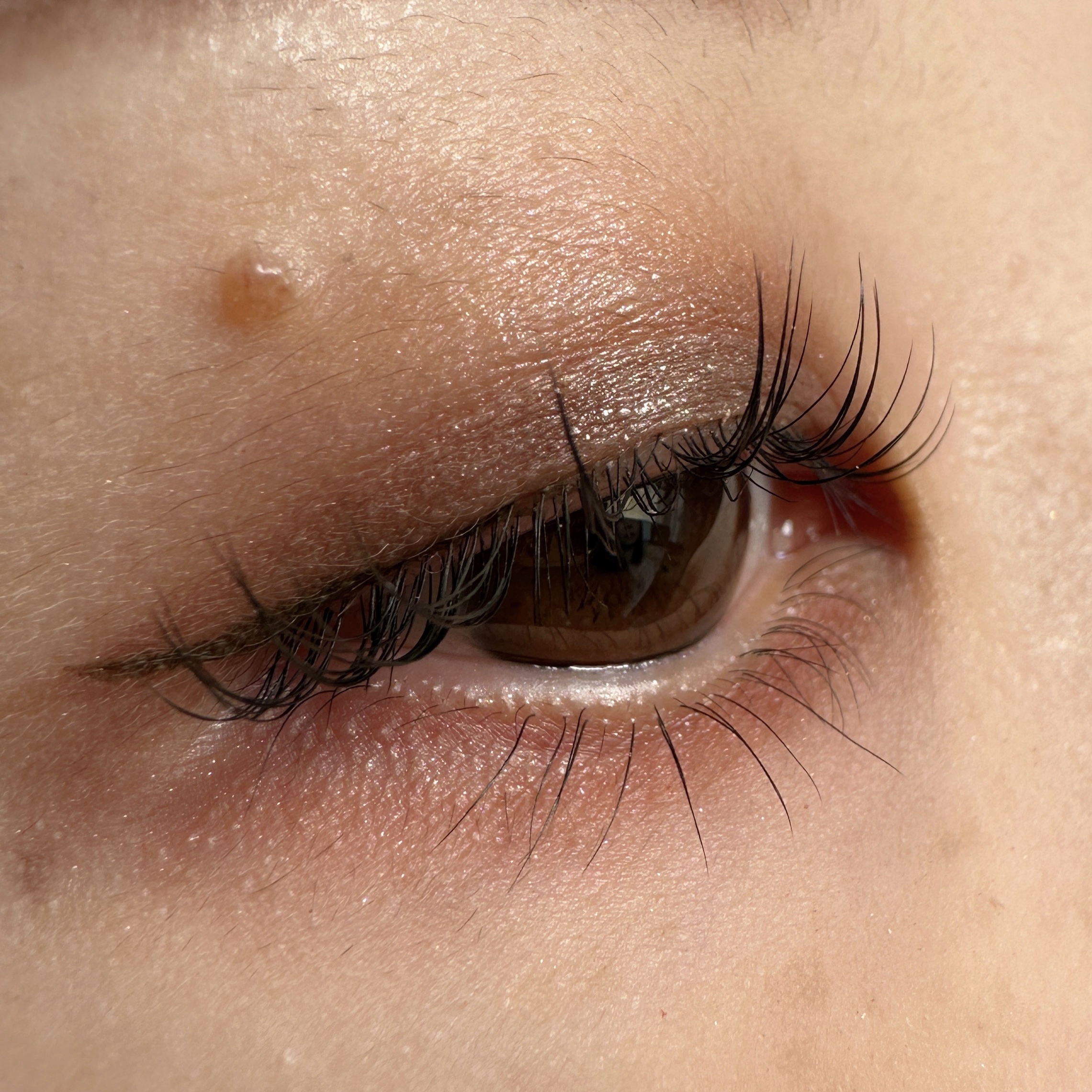 オンブル ドゥ エルメス パレット クワテュール 03 オンブル