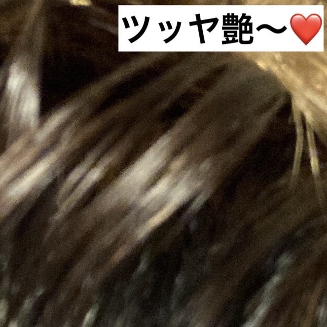 トリートメントリペアミルク/ディアボーテ/ヘアミルクを使ったクチコミ（3枚目）