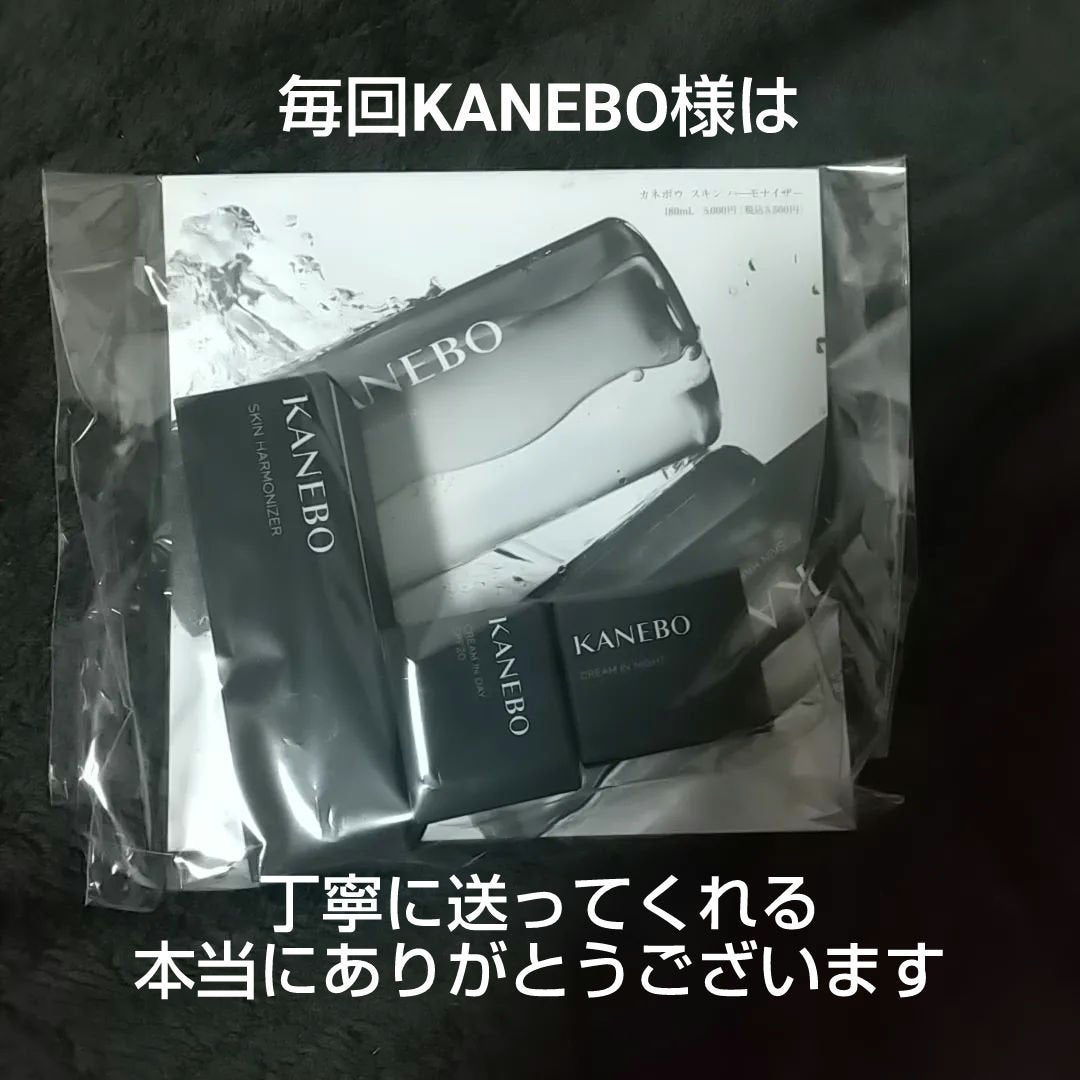 スキン ハーモナイザー/KANEBO/化粧水を使ったクチコミ(6枚目)