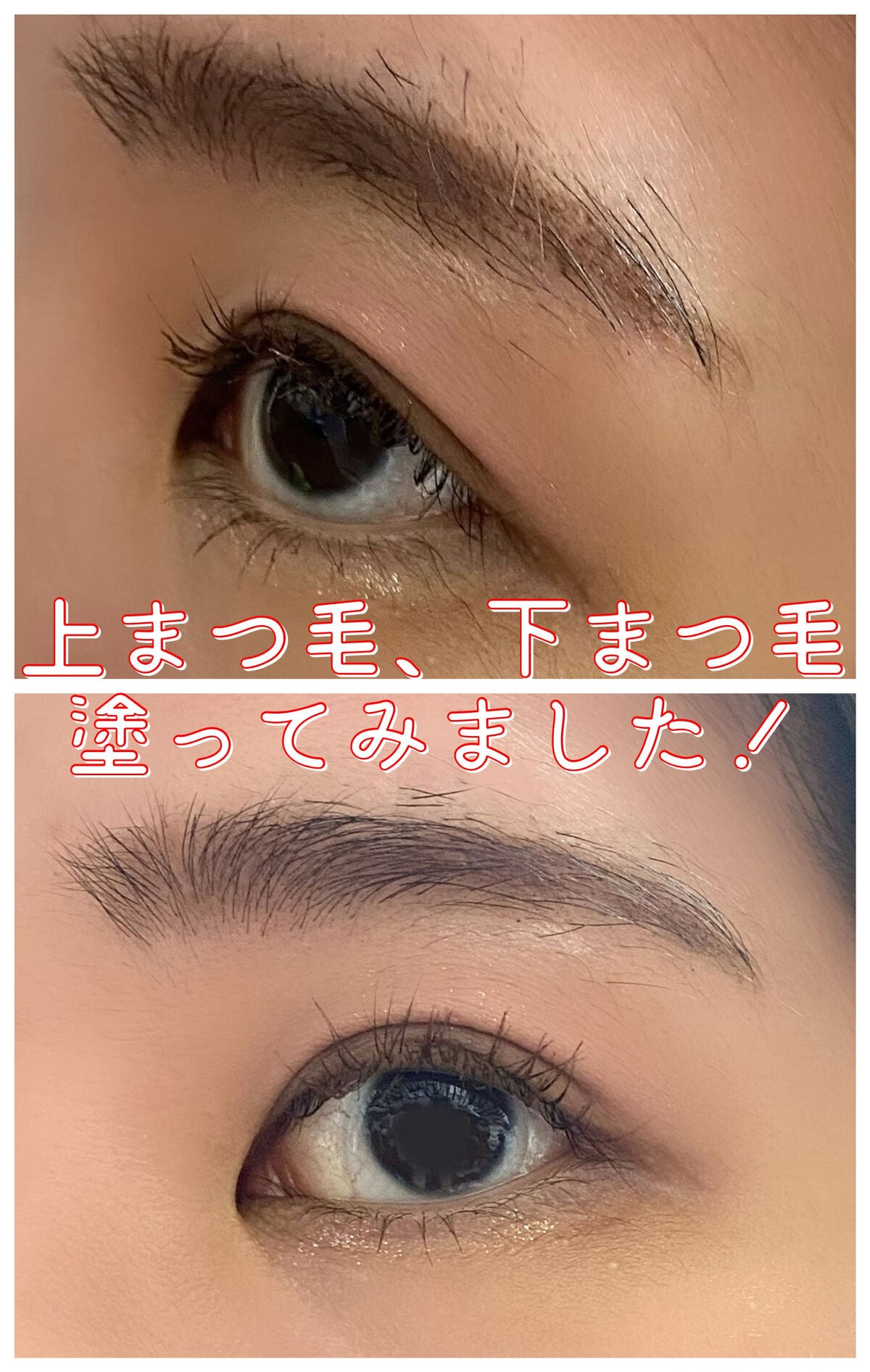 「塗るつけまつげ」自まつげ際立てタイプ/デジャヴュ/マスカラを使ったクチコミ(2枚目)