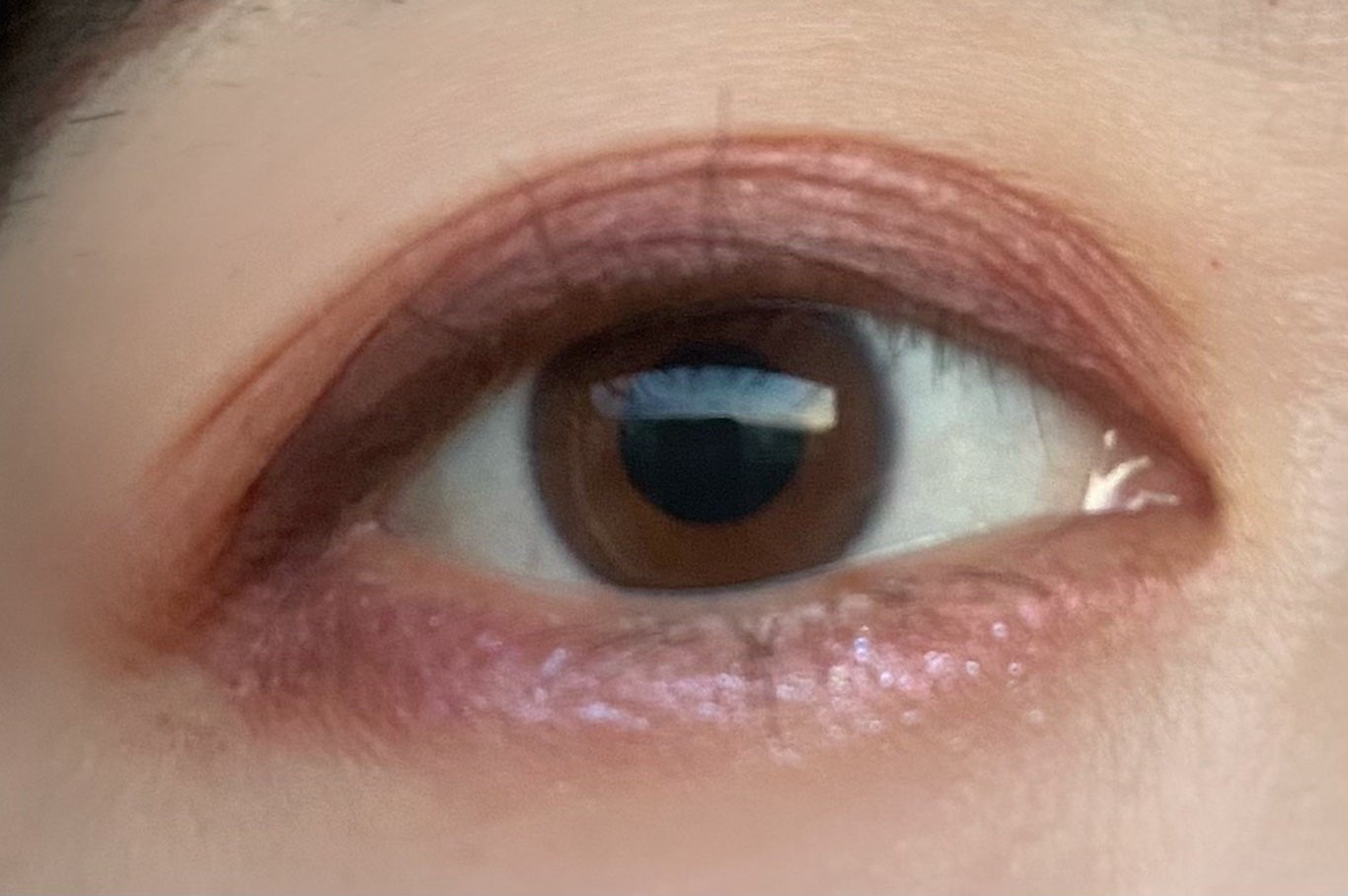 レ ベージュ パレット ルガール/CHANEL/アイシャドウパレットを使ったクチコミ(3枚目)