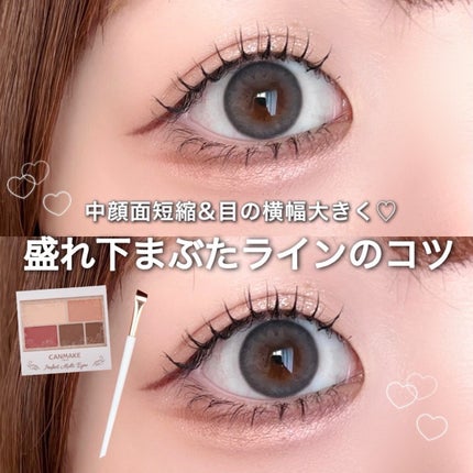 パーフェクトマルチアイズ/キャンメイク/アイシャドウパレットを使ったクチコミ(1枚目)