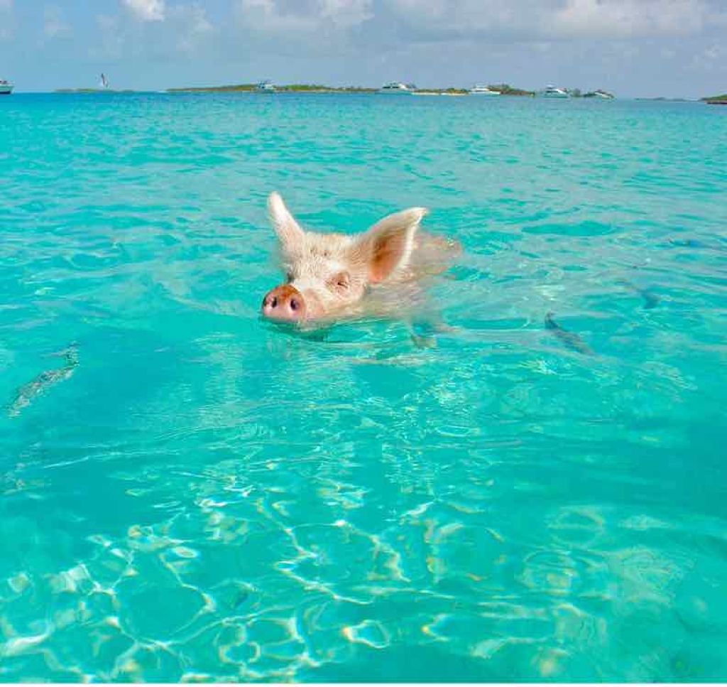 佐々木 コトハル on LIPS 「!涼しい写真付き🍔🏙🌃🌌🌉🌠🎆🎇さてぇぇぇと。。。500円以内..」(1枚目)