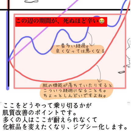 おゆみ|ニキビ・ニキビ跡ケア on LIPS 「【挫折する人と挫折しない人との違い】肌を汚くしたいって思..」(4枚目)