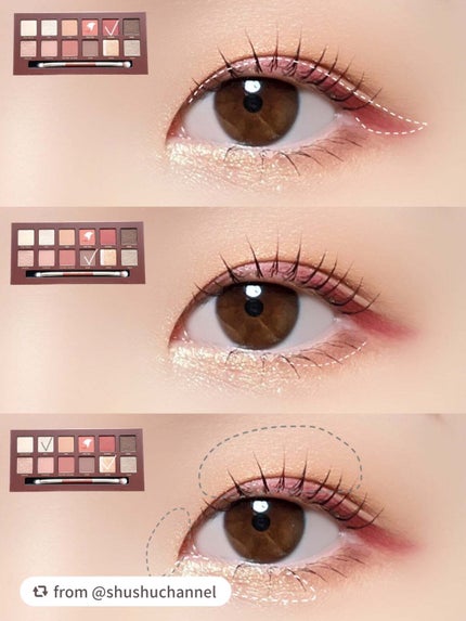 エクスプローラ12色 動物アイシャドウパレット/PERFECT DIARY/アイシャドウパレットを使ったクチコミ(4枚目)