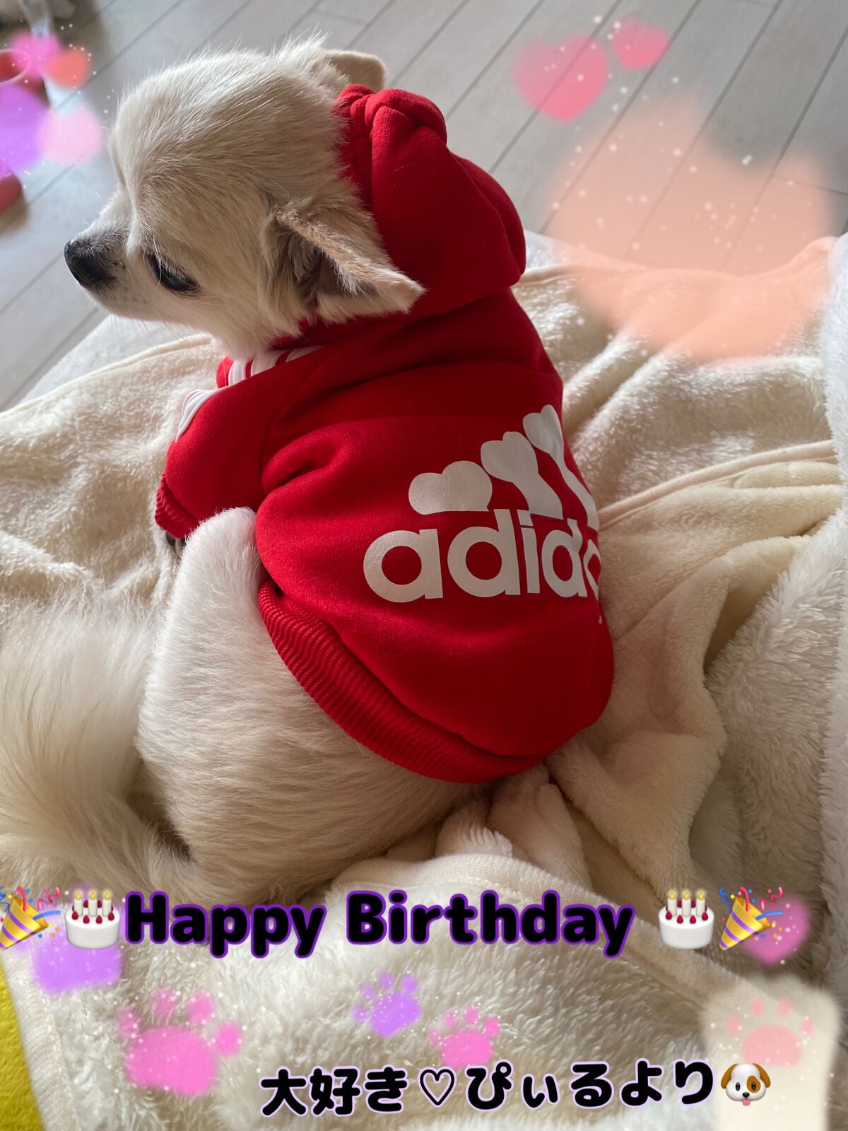 カラフルネイルズ/キャンメイク/マニキュアを使ったクチコミ(6枚目)