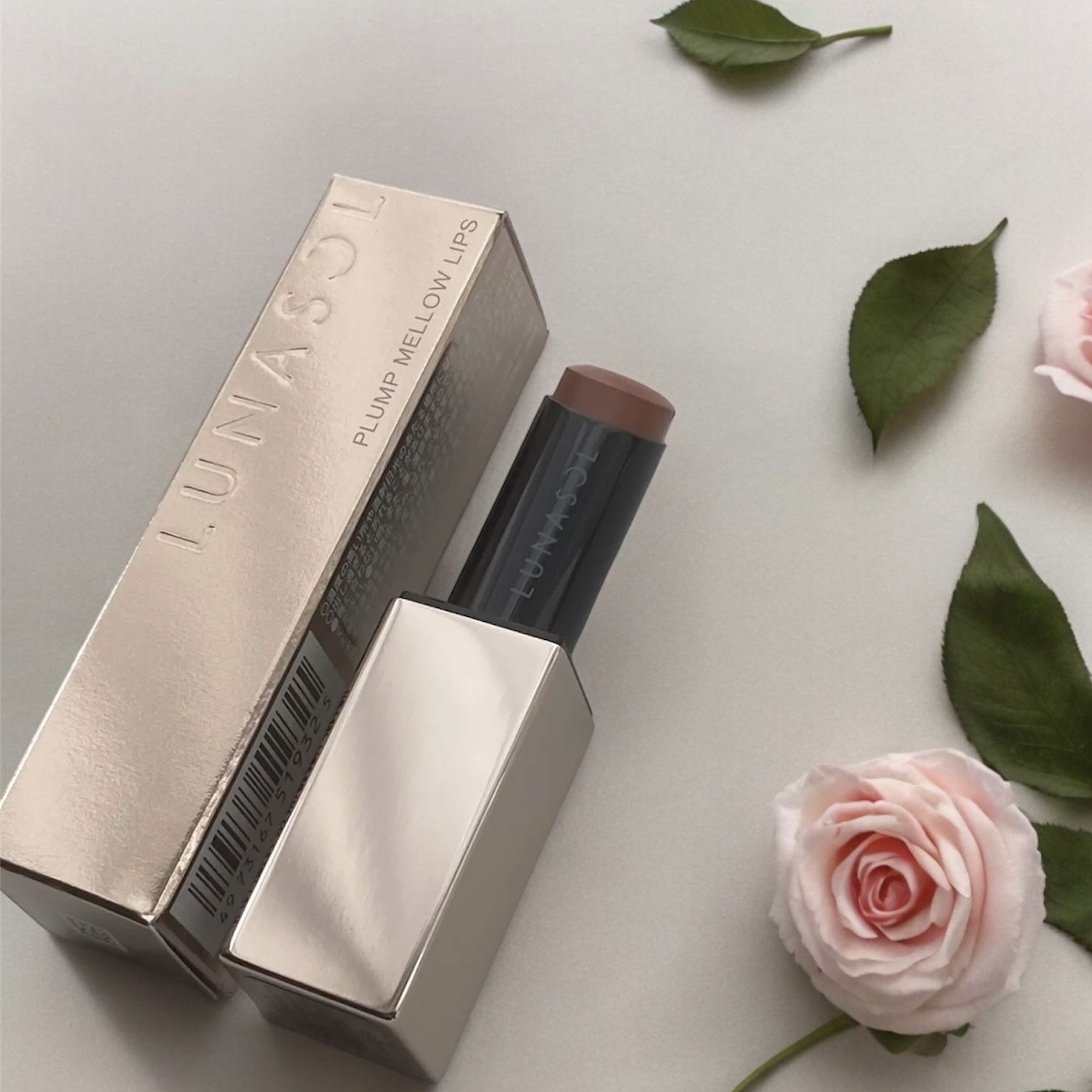 プランプメロウリップス EX20 Modern Tone/LUNASOL/口紅を使ったクチコミ（1枚目）