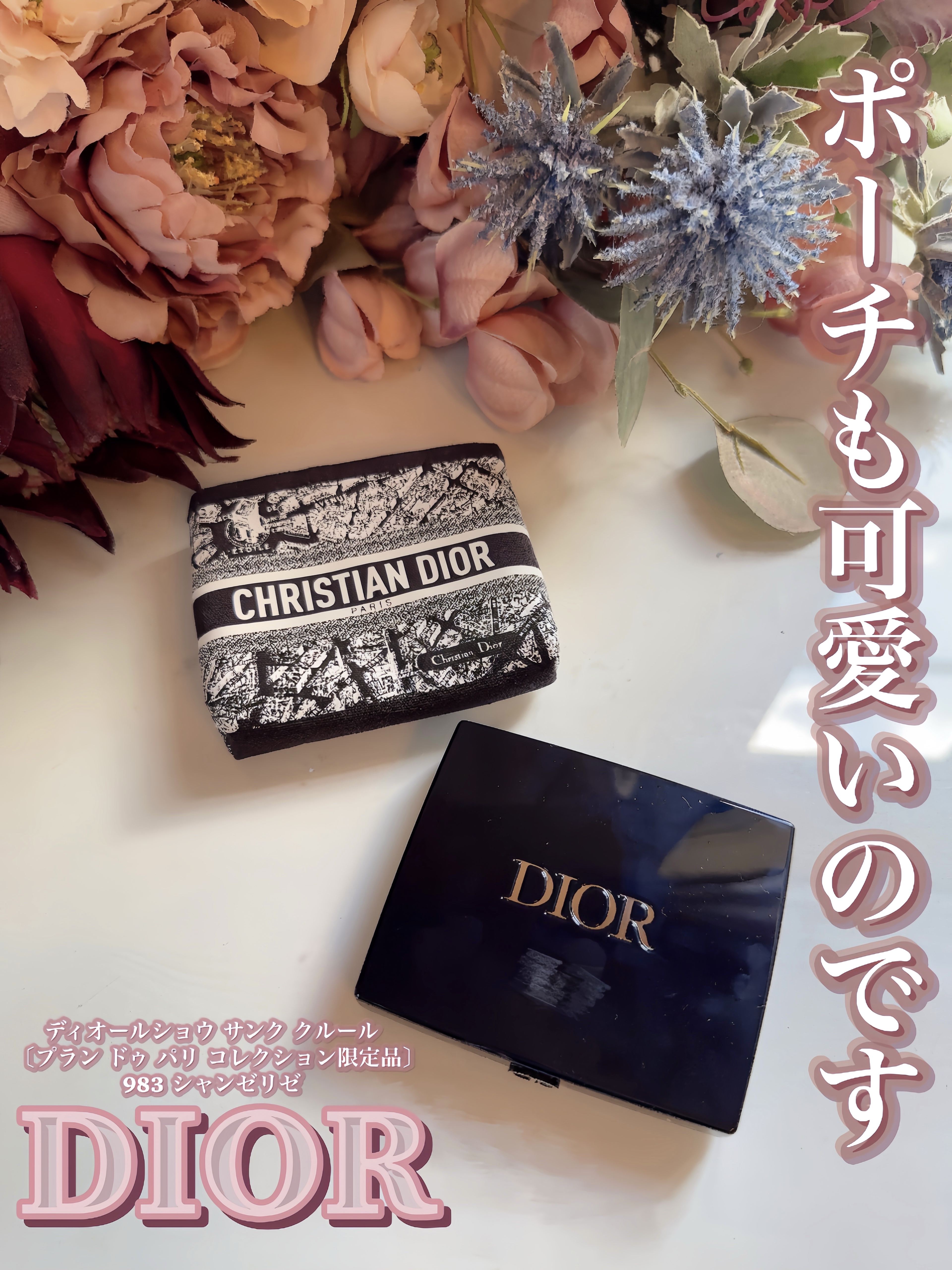 【旧】ディオールショウ サンク クルール（プラン ドゥ パリ コレクション限定品）/Dior/アイシャドウを使ったクチコミ（3枚目）