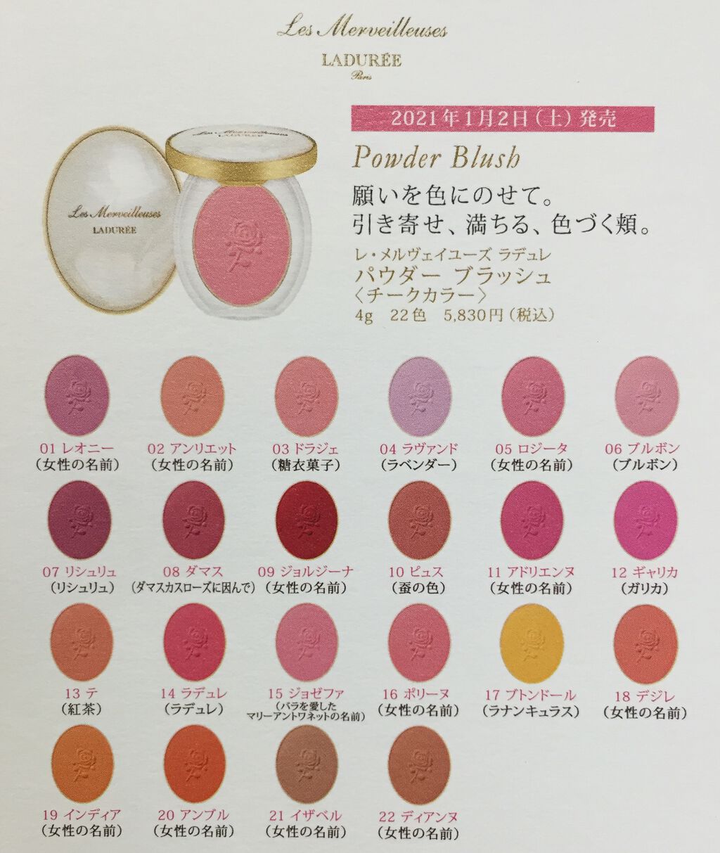パウダーブラッシュ/レ・メルヴェイユーズ ラデュレ/パウダーチークを使ったクチコミ(6枚目)