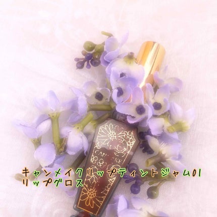 リップティントジャム/キャンメイク/リップグロスを使ったクチコミ(1枚目)