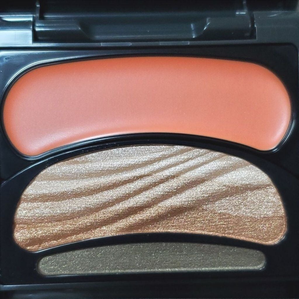 ブラシひと塗りシャドウN/オーブ/アイシャドウパレットを使ったクチコミ(2枚目)