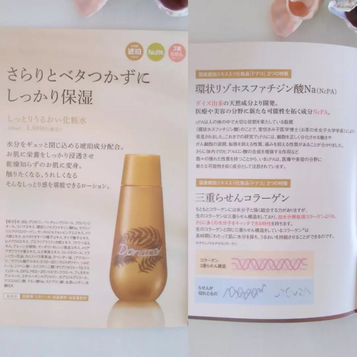 おほあんどうふ on LIPS 「古からの贈り物昔に想いを馳せながらつかの間白亜紀にタイムトラベ..」(5枚目)