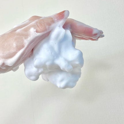 二十年ほいっぷ/北の快適工房/洗顔フォームを使ったクチコミ(4枚目)