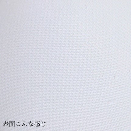 センムル パーフェクト ポア パクト/the SAEM/ルースパウダーを使ったクチコミ(4枚目)