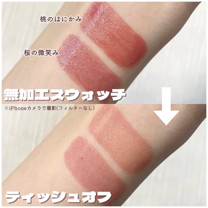 ネンマクフェイク ルージュ/Visée/口紅を使ったクチコミ(5枚目)