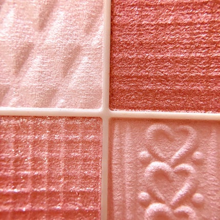 プティパレットアイズ/キャンメイク/パウダーアイシャドウを使ったクチコミ(4枚目)