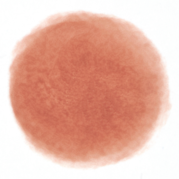 フィー リップアンドチーク ブラーリープリンポット ND05 ビー