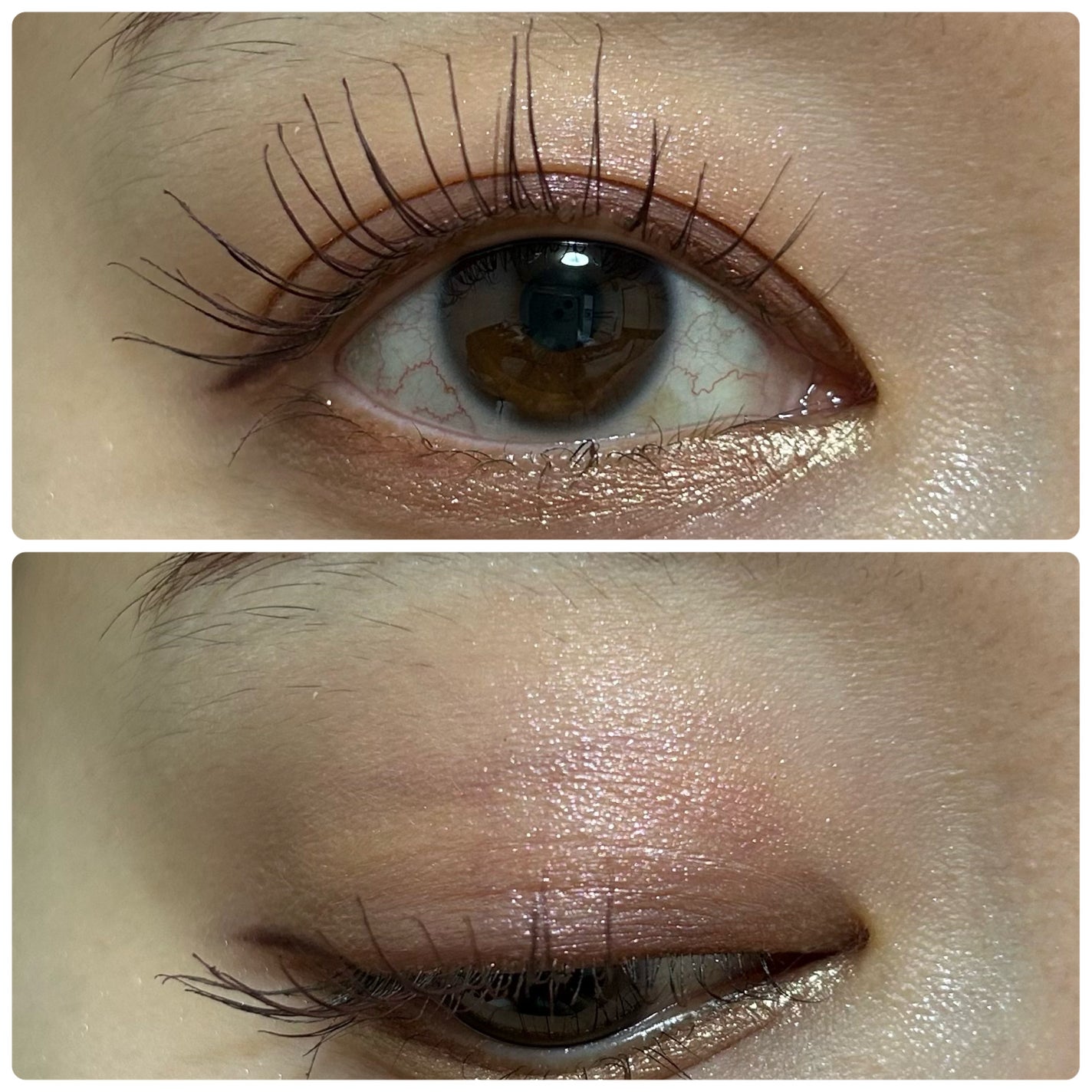 シャドーカスタマイズ/MAJOLICA MAJORCA/単色アイシャドウを使ったクチコミ(1枚目)