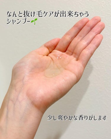 エイドスカルプシャンプー/ビューランチ/シャンプー・コンディショナーを使ったクチコミ（2枚目）