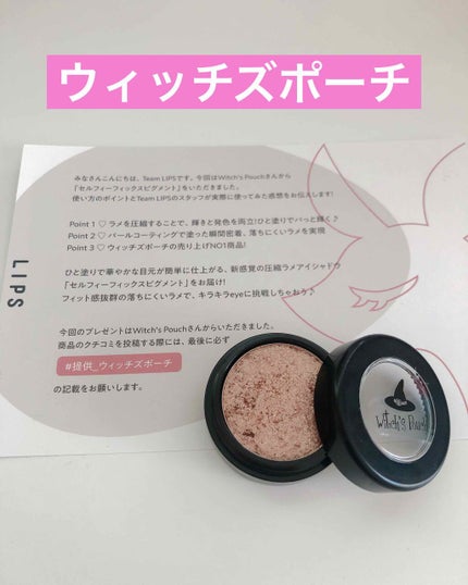 セルフィーフィックスピグメント/Witch's Pouch/単色アイシャドウを使ったクチコミ(1枚目)