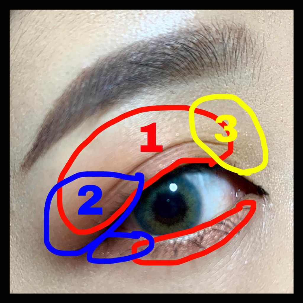 カラーステイ ルックス ブック パレット/REVLON/アイシャドウパレットを使ったクチコミ（2枚目）