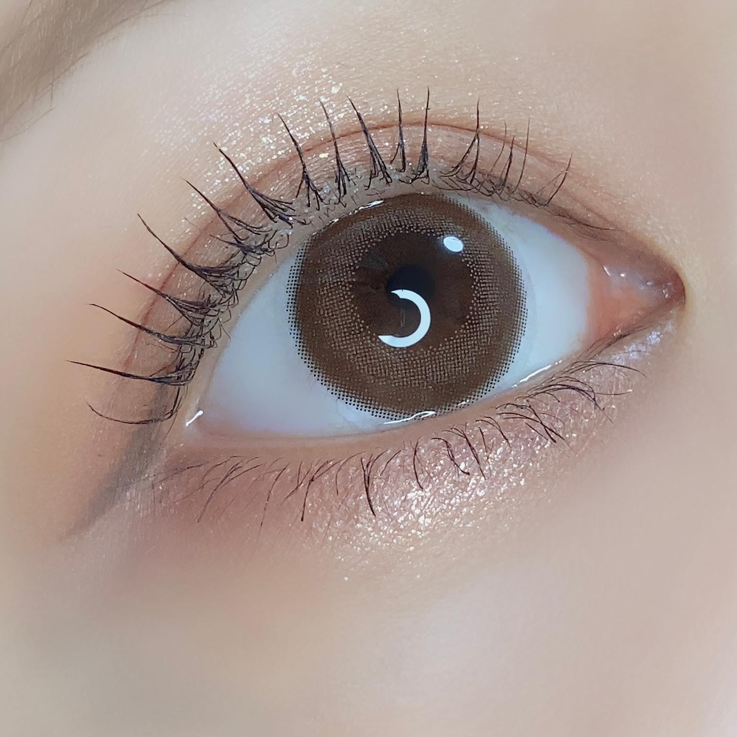 Cheritta 1day メロウロゼ(Mellow Rose)/Cheritta/ワンデー（１DAY）カラコンを使ったクチコミ（3枚目）