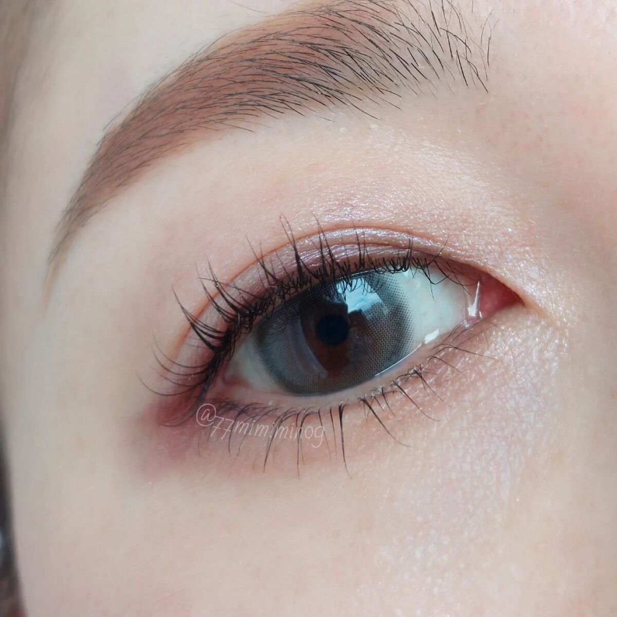 コンスピキュアス アイズ EX-03 バイオレットピンク / Amplitude