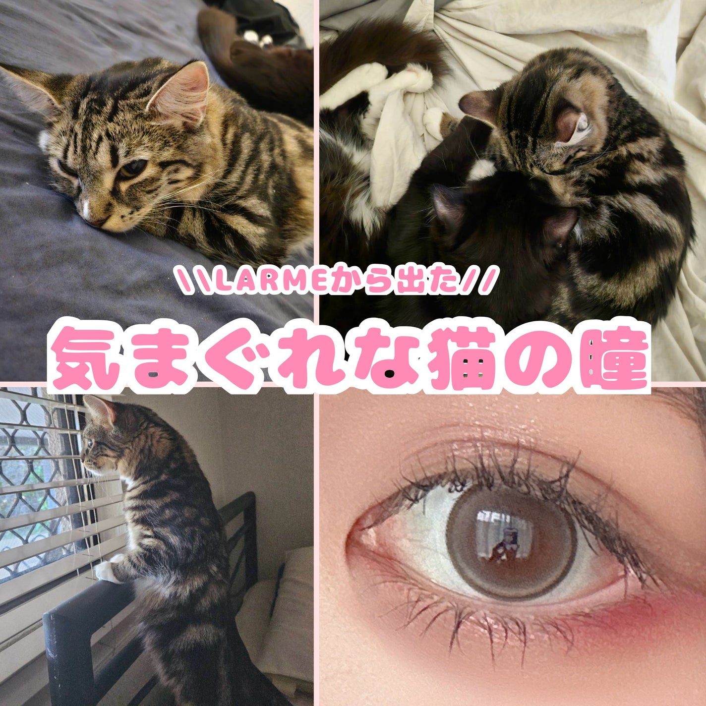 ラルム シリコーンハイドロゲル ダブルモイストUV ワンデー/LARME/カラーコンタクトレンズを使ったクチコミ(1枚目)