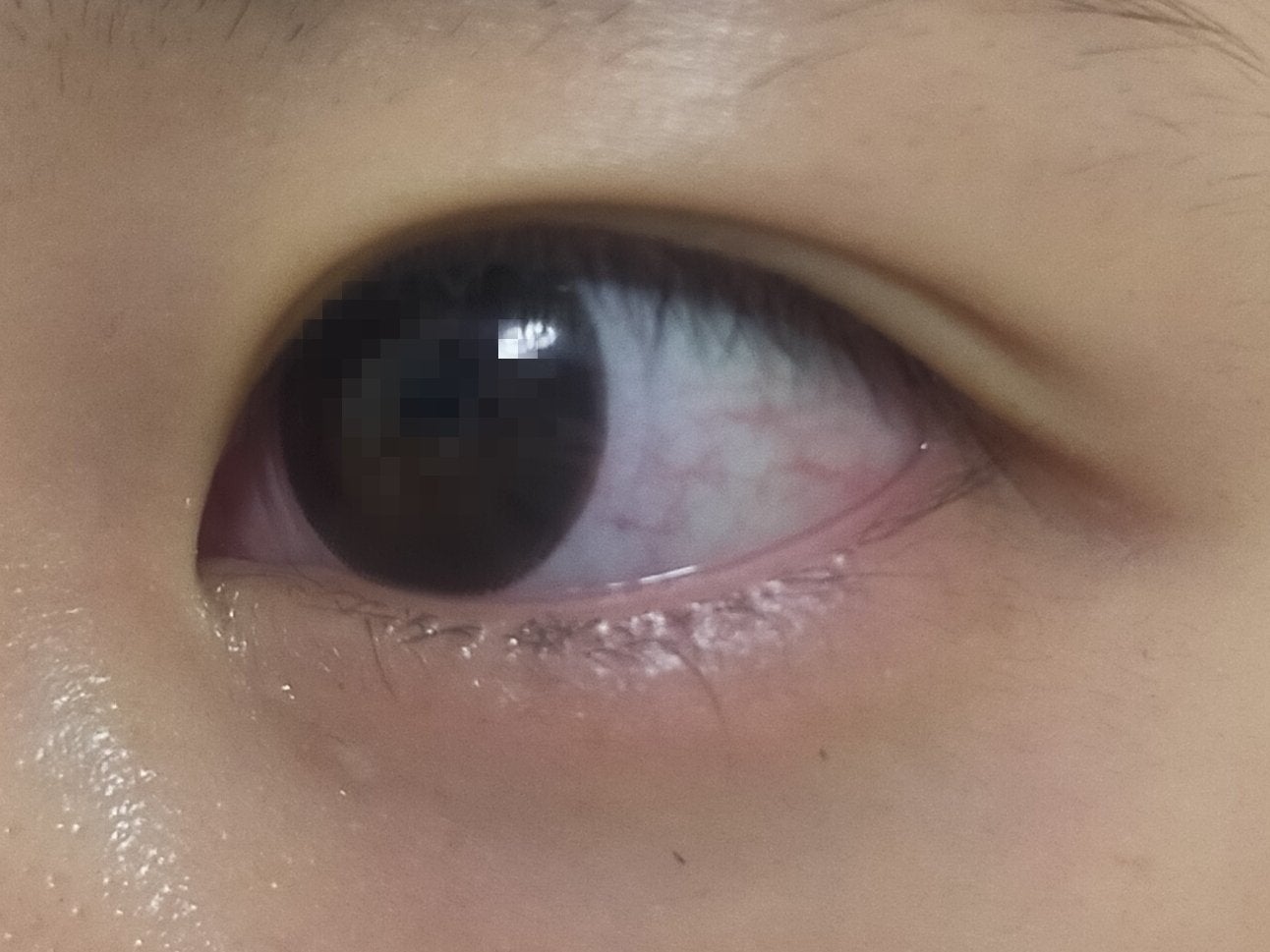 feliamo 1day/feliamo/ワンデー(1DAY)カラコンを使ったクチコミ(2枚目)