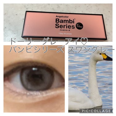 Angelcolor Bambi Series 1day /AngelColor/ワンデー（１DAY）カラコンを使ったクチコミ（1枚目）