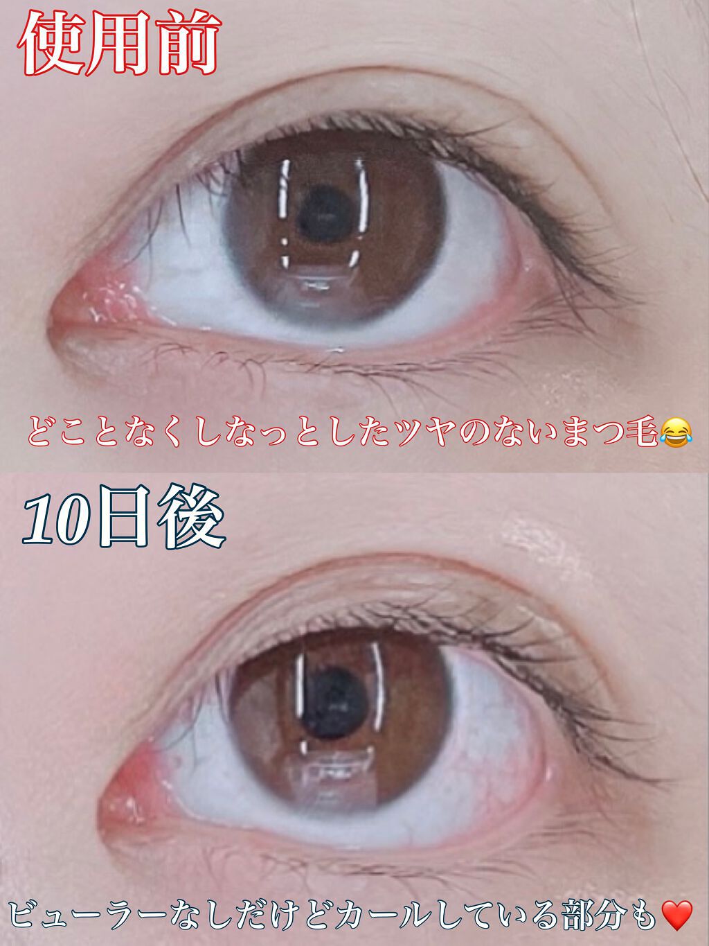 ラッシュジェリードロップ EX/MAJOLICA MAJORCA/まつげ美容液を使ったクチコミ(2枚目)