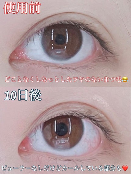 ラッシュジェリードロップ EX/MAJOLICA MAJORCA/まつげ美容液を使ったクチコミ(2枚目)