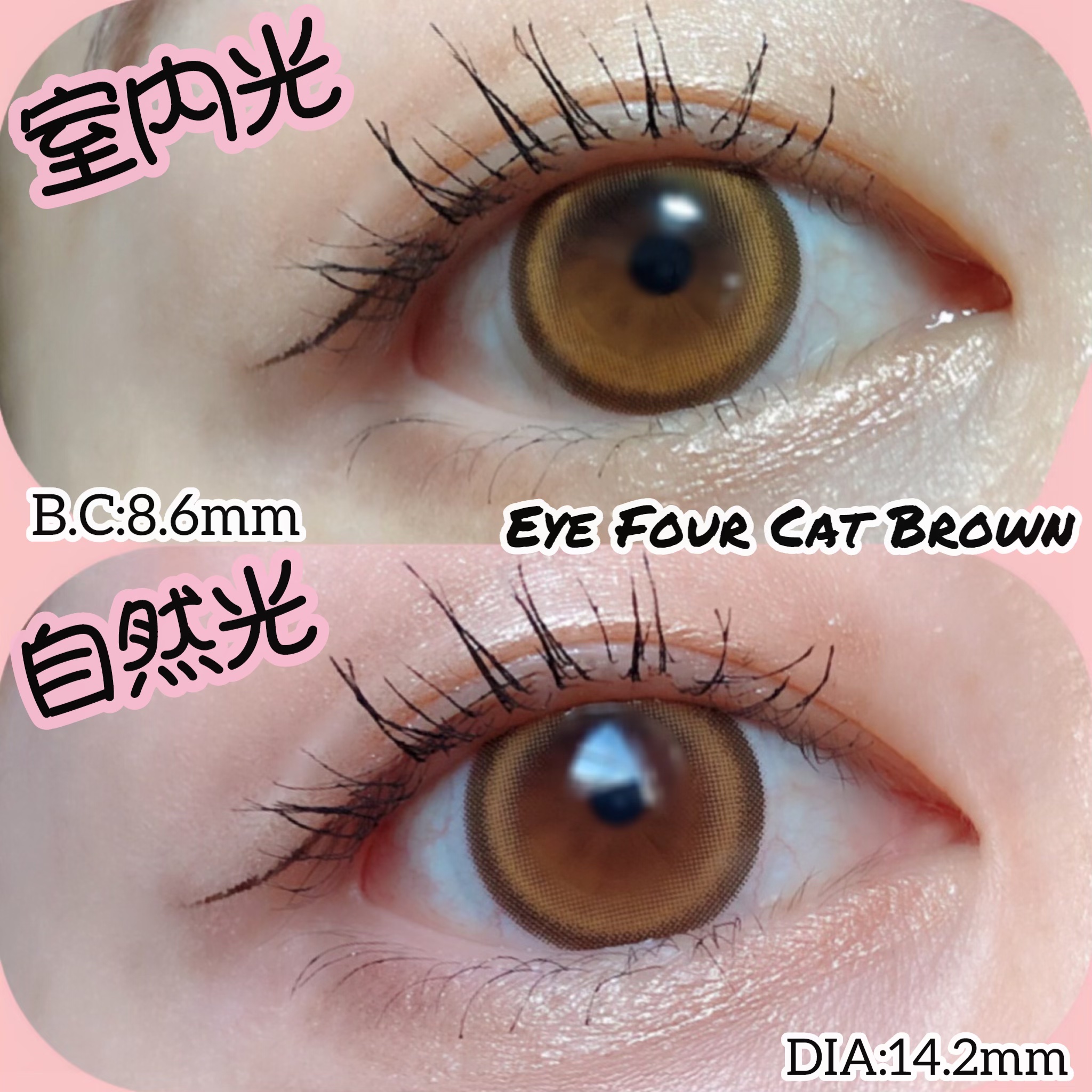 Eye Four Cat/LENSME/カラーコンタクトレンズを使ったクチコミ（3枚目）