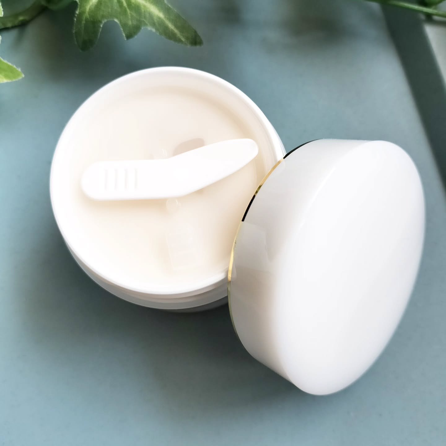 モイスチャージェルクリーム/SESALIS/フェイスクリームを使ったクチコミ（2枚目）