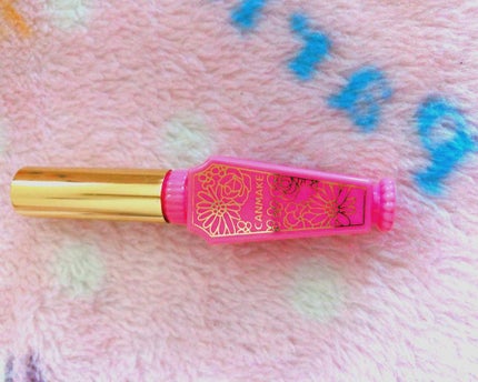 リップティントシロップ/キャンメイク/リップティントを使ったクチコミ(1枚目)