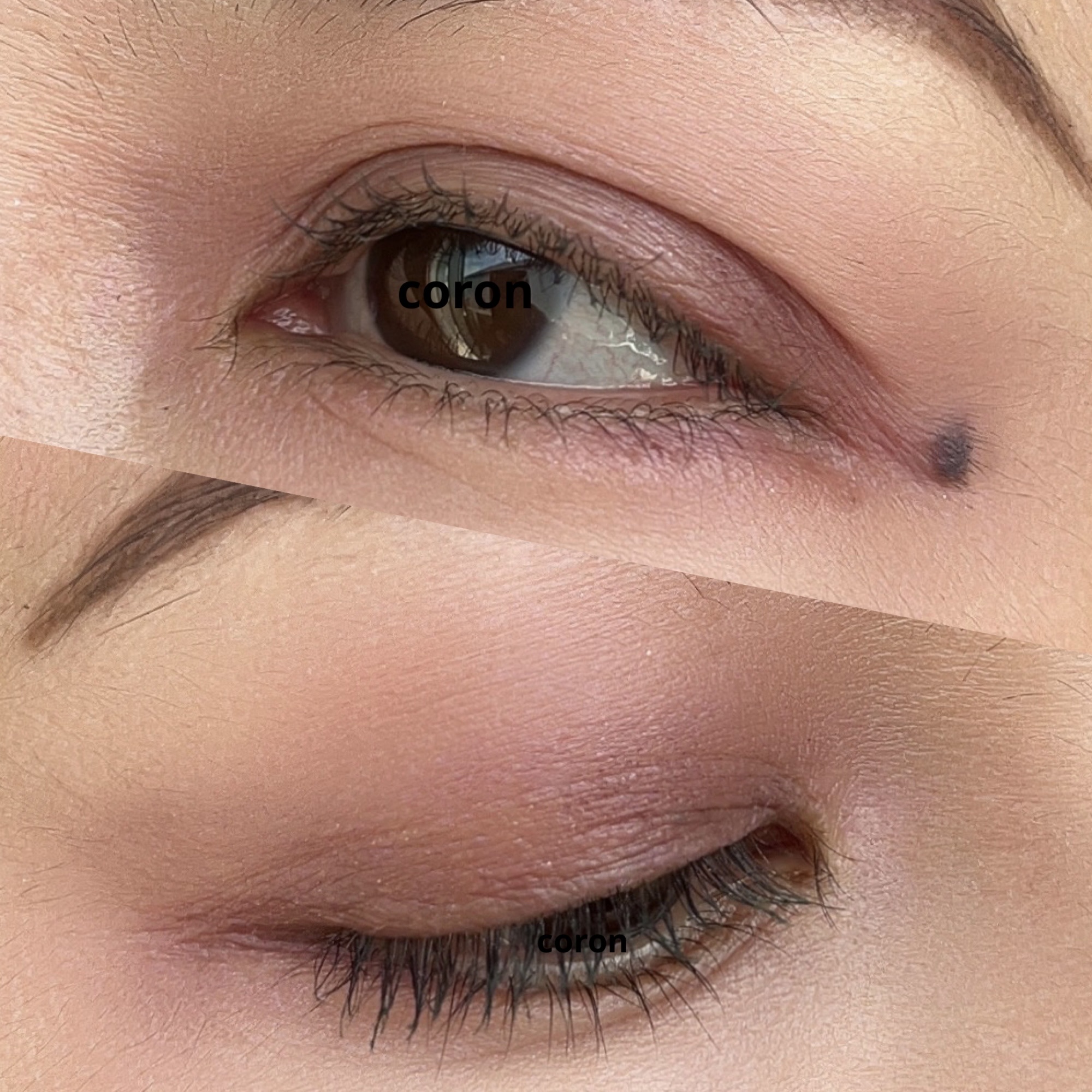 セルヴォーク ヴォランタリー アイズ 13 マットプラム/Celvoke/単色アイシャドウを使ったクチコミ（2枚目）