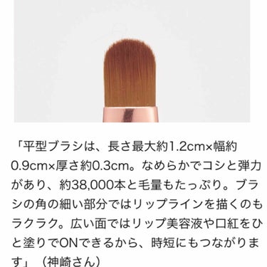 美的 美的 2020年3月号のクチコミ「

美的 3月号付録
神崎恵さん監修  美リップ養成ブラシ


筆とチップがついているリップブ.....」（2枚目）