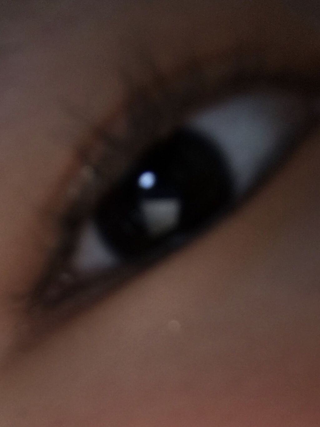 プリズム エアー ハイライター/CLIO/パウダーハイライトを使ったクチコミ（1枚目）