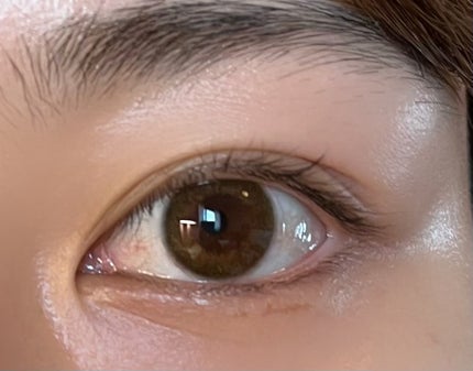 Femii 1day マットブラウン/AngelColor/ワンデー(1DAY)カラコンの画像