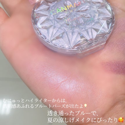 シルキースフレアイズ/キャンメイク/アイシャドウパレットを使ったクチコミ(6枚目)