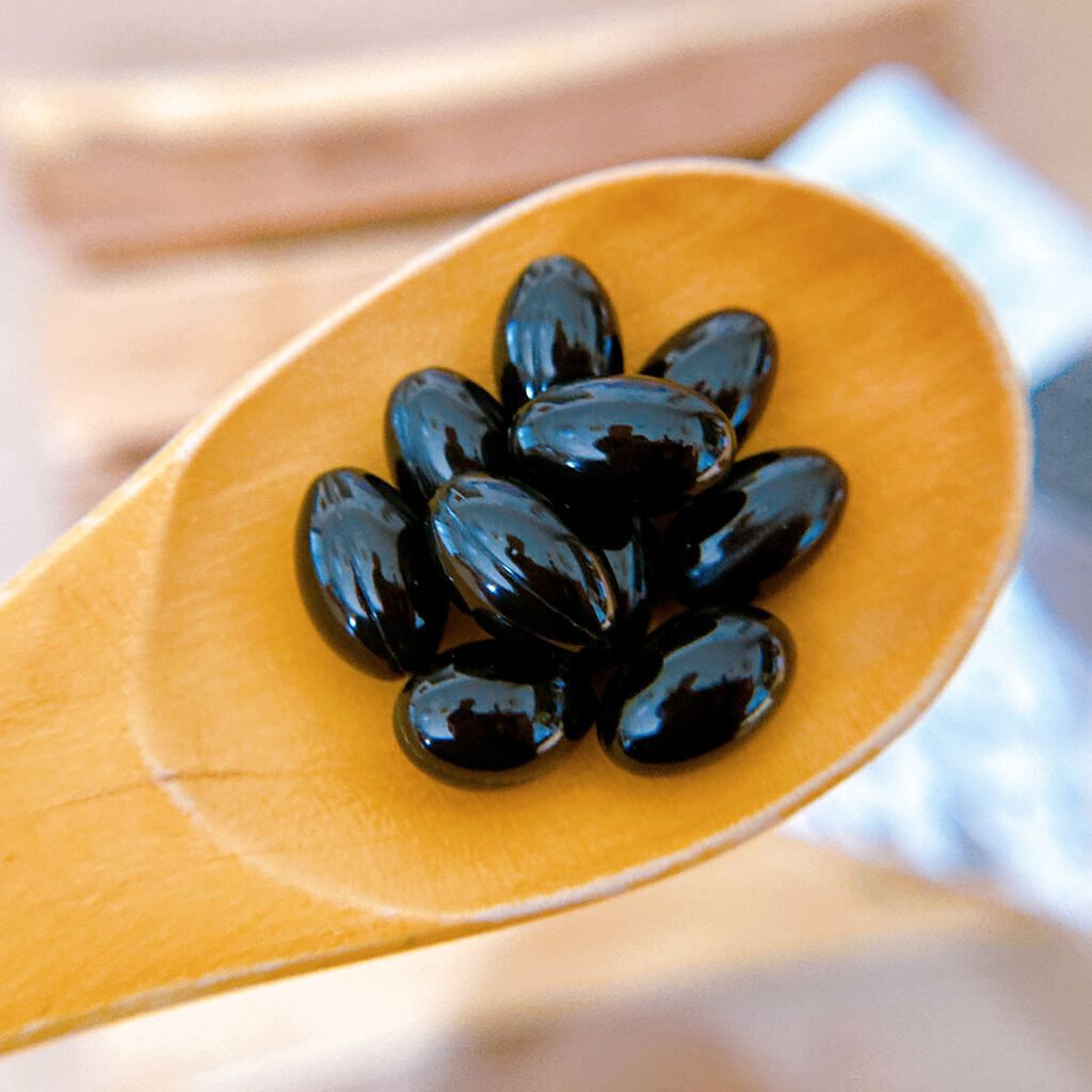 nagomi KOUSO 30粒/renaTerra/健康サプリメントを使ったクチコミ（3枚目）