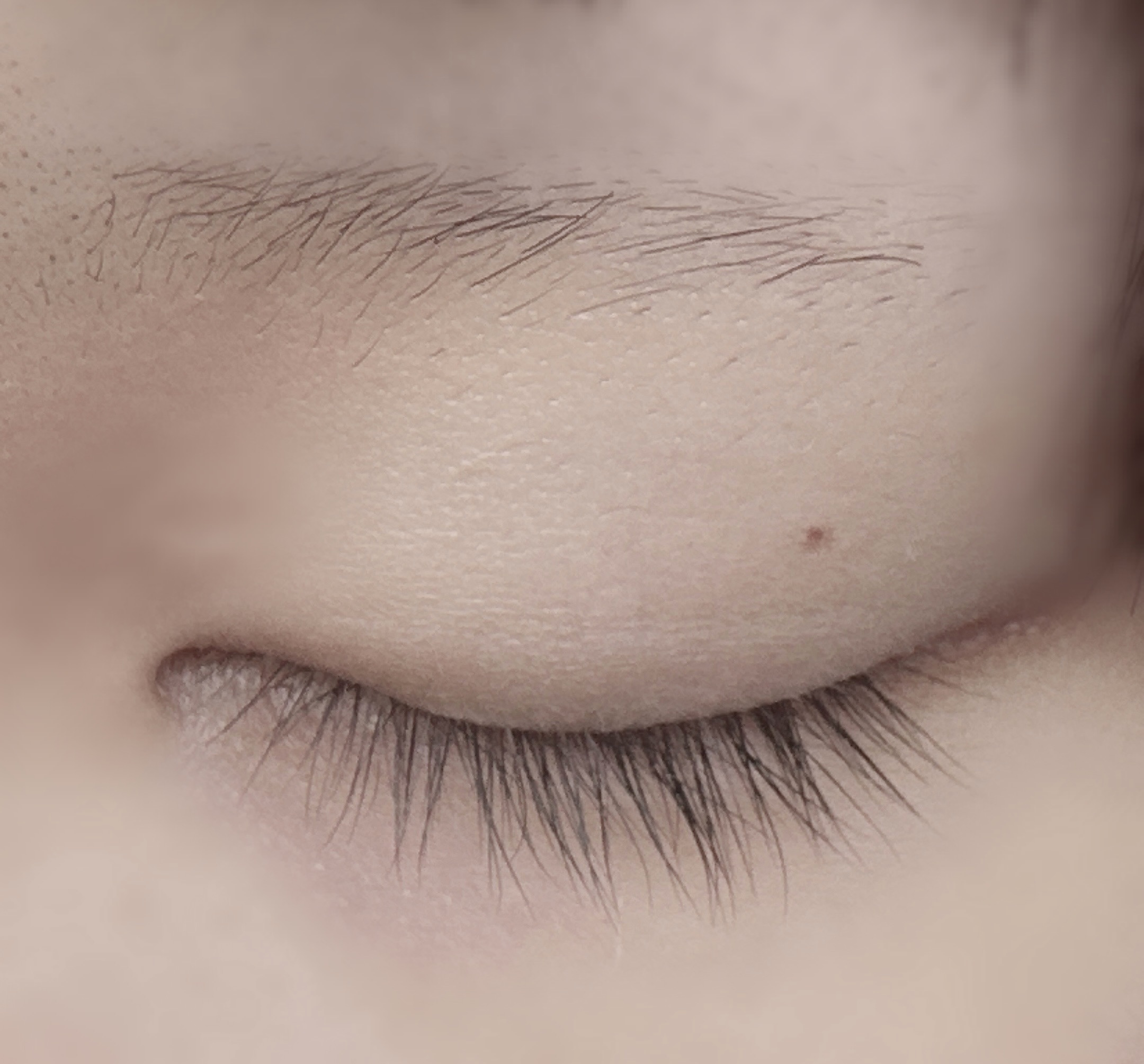 DHC DHCアイラッシュトニックのクチコミ「まつ毛に塗ってたらまつ毛はそんな伸びないけど眉毛めっちゃ生えた
眉毛に塗るようにしたら眉毛モサ.....」（1枚目）